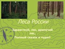 Леса России презентация к уроку по окружающему миру (4 класс)