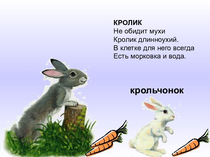 КРОЛИКНе обидит мухи Кролик длинноухий. В клетке для него всегда Есть морковка и вода.крольчонок