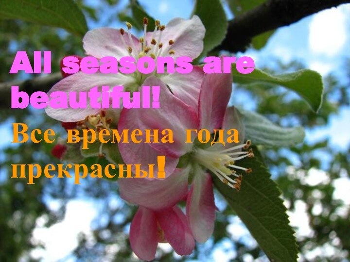 All seasons are beautiful! Все времена года прекрасны!