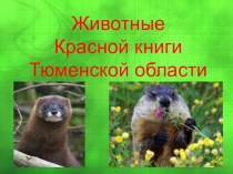 Исследовательская работа Животные красной книги Тюменской области проект по окружающему миру (старшая группа)