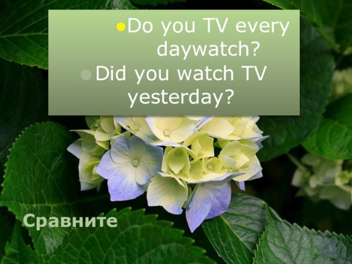 СравнитеDo you TV every daywatch?Did you watch TV yesterday?
