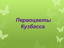 Познавательно-развивающий проект Первоцветы Кузбасса. проект по окружающему миру (подготовительная группа)