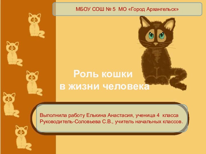 Роль кошки в жизни человекаВыполнила работу Елькина Анастасия, ученица 4 класса Руководитель-Соловьева
