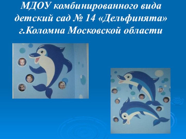 МДОУ комбинированного вида  детский сад № 14 «Дельфинята» г.Коломна Московской области