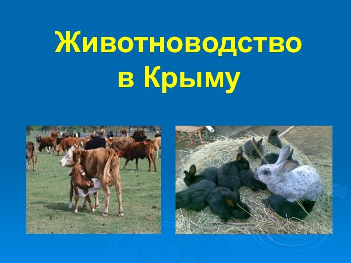 Животноводство  в Крыму