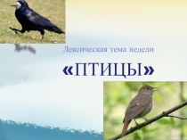 конспект занятия возвращение перелётных птиц план-конспект занятия по окружающему миру (подготовительная группа)