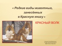 Презентация по окружающему миру  Редкие виды животных, занесённых в Красную книгу  презентация к уроку по окружающему миру (3 класс)