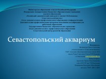 Презентация Севастопольский аквариум презентация к уроку (3, 4 класс)