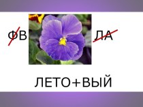 Презентация к работе над словарным словом фиолетовый презентация к уроку по русскому языку (3 класс)