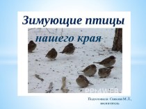 презентация Зимующие птицы нашего края презентация к уроку (старшая группа)
