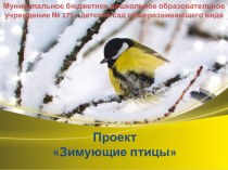 Проект Зимующие птицы презентация к занятию по окружающему миру (старшая группа) по теме