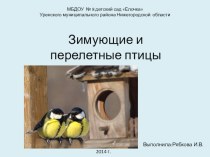 Презентация Зимующие и перелетные птицы презентация к уроку по окружающему миру (старшая группа)