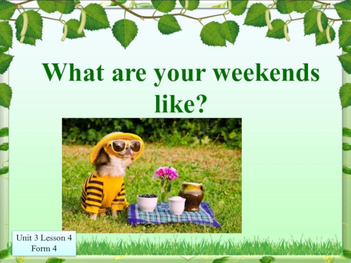 What are your weekends like?Unit 3 Lesson 4Form 4