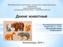 Презентация Дикие животные для детей 3-4 лет (окружающий мир) презентация к уроку по окружающему миру (младшая группа)