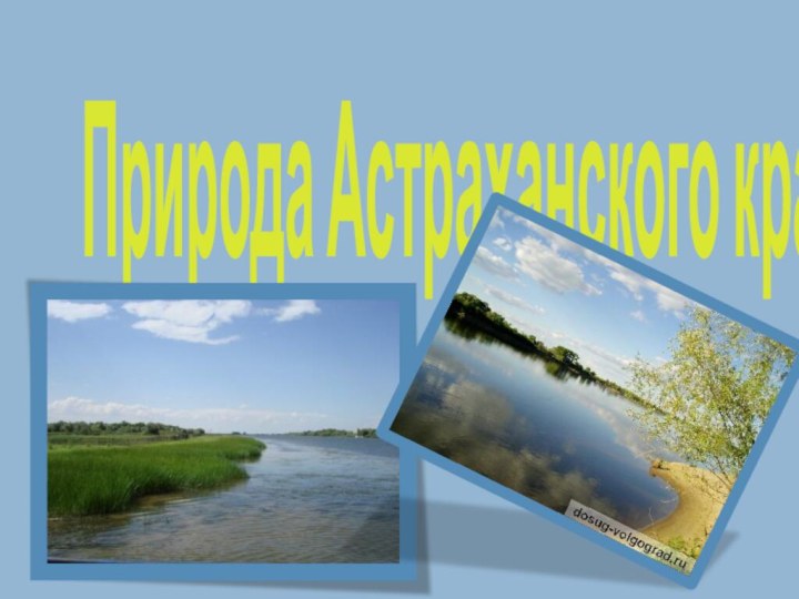 Природа Астраханского края