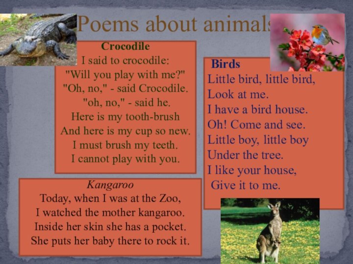 Poems about animalsKangaroo Today, when I was at the Zoo, I watched