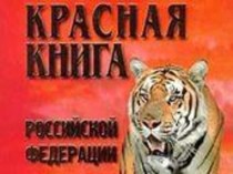 Красная книга Сахалинской области - ласка презентация к уроку по окружающему миру (4 класс)