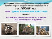 Домашние и дикие животные презентация к уроку по окружающему миру (1 класс)