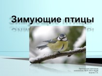 Презентация Зимующие птицы презентация по окружающему миру