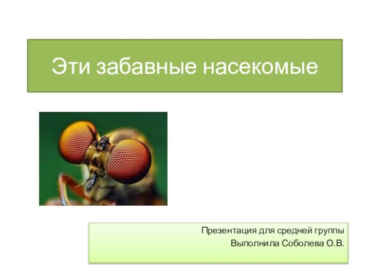 Эти забавные насекомыеПрезентация для средней группыВыполнила Соболева О.В.