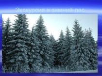 Экскурсия в зимний лес презентация к уроку по окружающему миру (3 класс) по теме