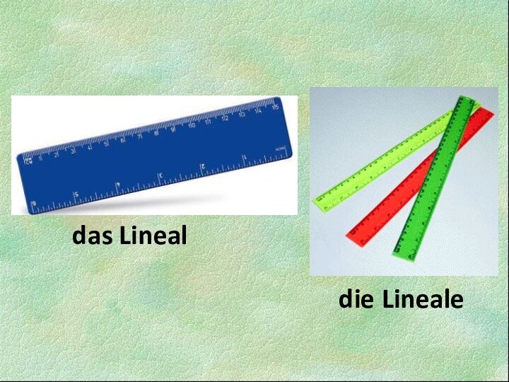 das Linealdie Lineale
