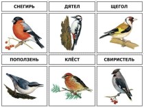 Зимующие птицы презентация к уроку по окружающему миру (средняя группа)