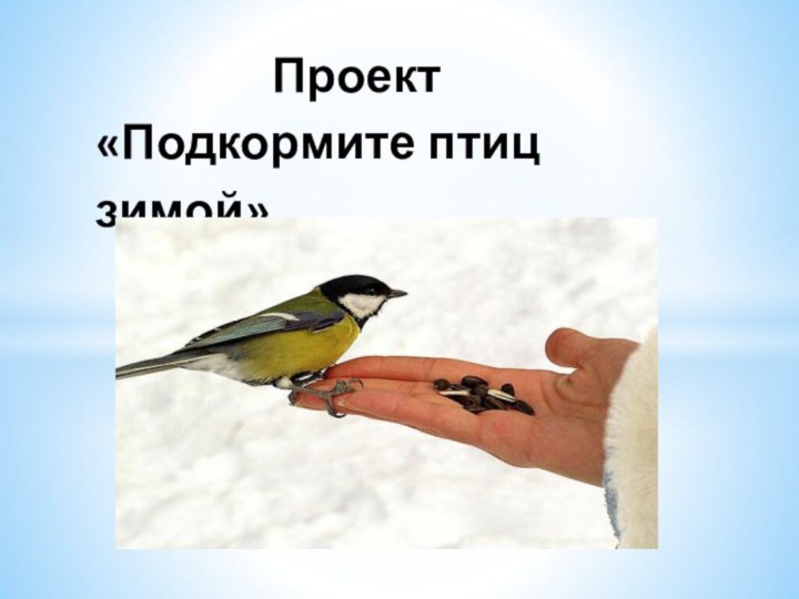 Проект  «Подкормите птиц зимой»