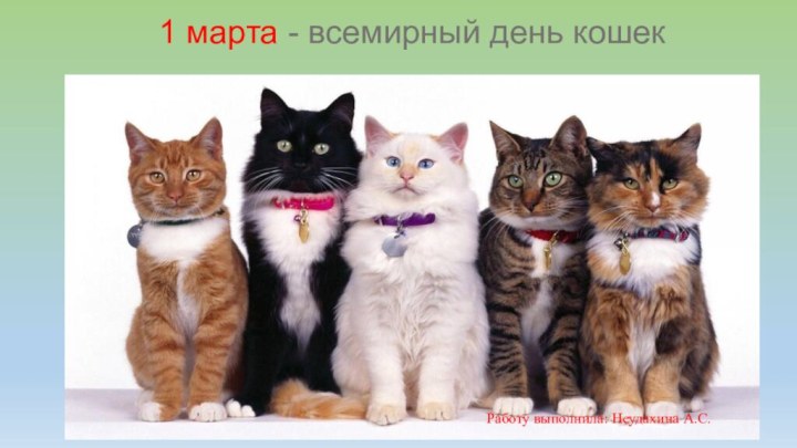 1 марта - всемирный день кошекРаботу выполнила: Неудахина А.С.