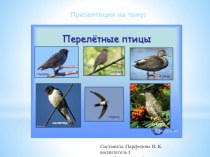 Презентация по теме Перелетные птицы презентация к уроку по окружающему миру (старшая группа)