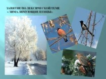 Презентация. Лексическая тема Зима. Зимующие птицы презентация к занятию по окружающему миру (старшая группа)