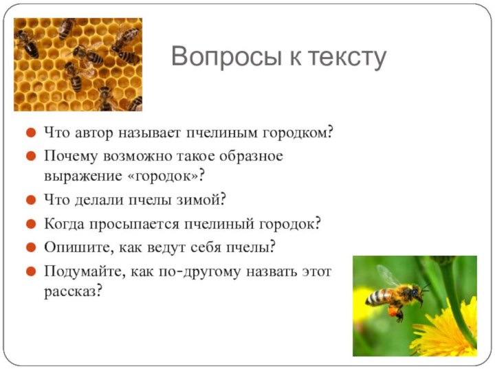 Вопросы к текстуЧто автор называет пчелиным городком?Почему возможно такое образное выражение «городок»?Что