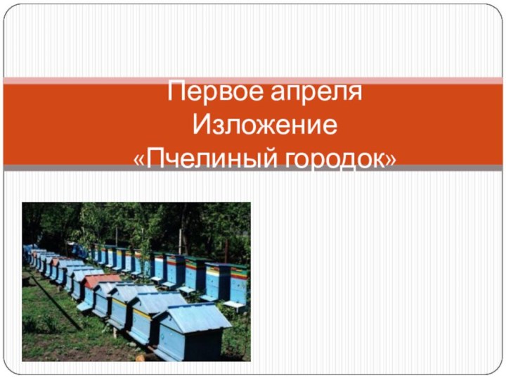 Первое апреля Изложение «Пчелиный городок»