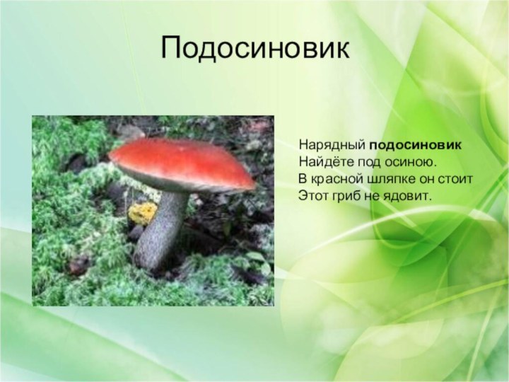 Подосиновик  Нарядный подосиновик Найдёте под осиною. В красной шляпке он стоит Этот гриб не ядовит.