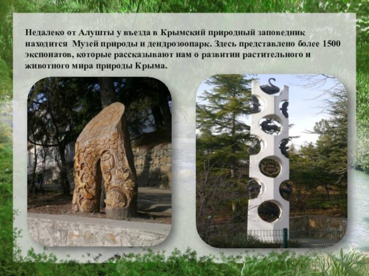 Недалеко от Алушты у въезда в Крымский природный заповедник находится  Музей природы