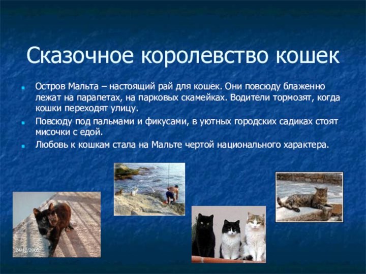 Сказочное королевство кошекОстров Мальта – настоящий рай для кошек. Они повсюду