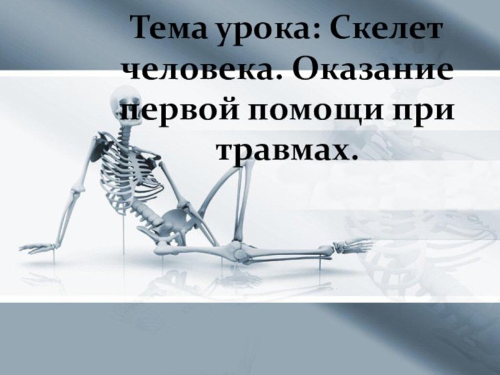 Тема урока: Скелет человека. Оказание первой помощи при травмах.