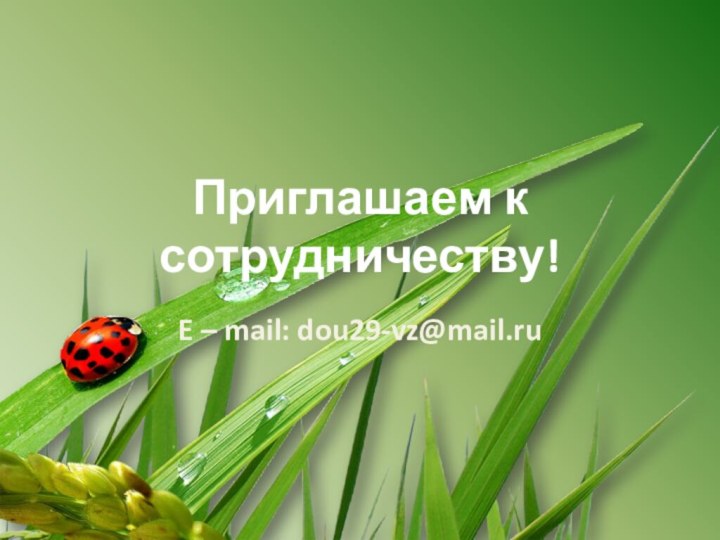 Приглашаем к сотрудничеству!E – mail: dou29-vz@mail.ru