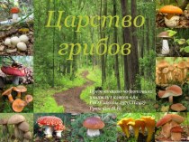 Грибы. Урок №2 В лес за грибами презентация к уроку по окружающему миру (1 класс) по теме
