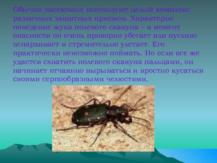 Обычно насекомые используют целый комплекс различных защитных приемов. Характерно поведение жука