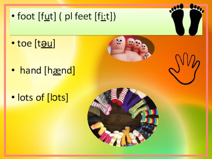 foot [fut] ( pl feet [fi:t])toe [təu]  hand [hænd]lots of [lᴐts]