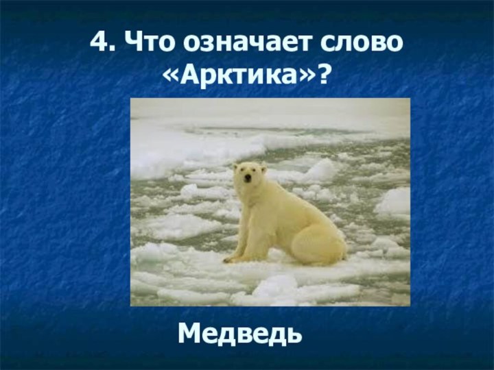 4. Что означает слово «Арктика»? Медведь