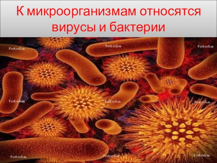 К микроорганизмам относятся вирусы и бактерии