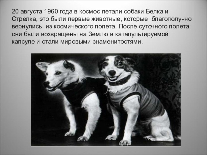 20 августа 1960 года в космос летали собаки Белка и Стрелка, это