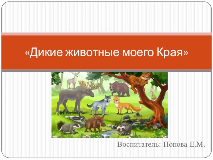 Воспитатель: Попова Е.М.«Дикие животные моего Края»