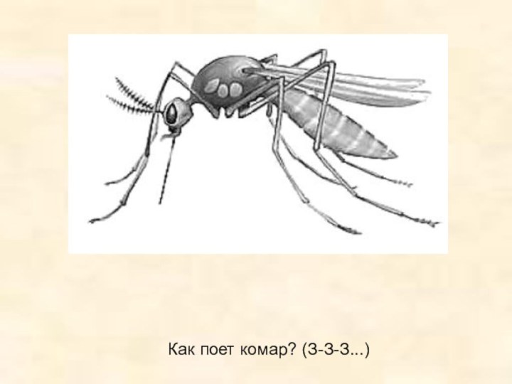 Как поет комар? (З-З-З...)