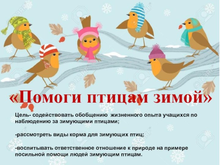 «Помоги птицам зимой»Цель- содействовать