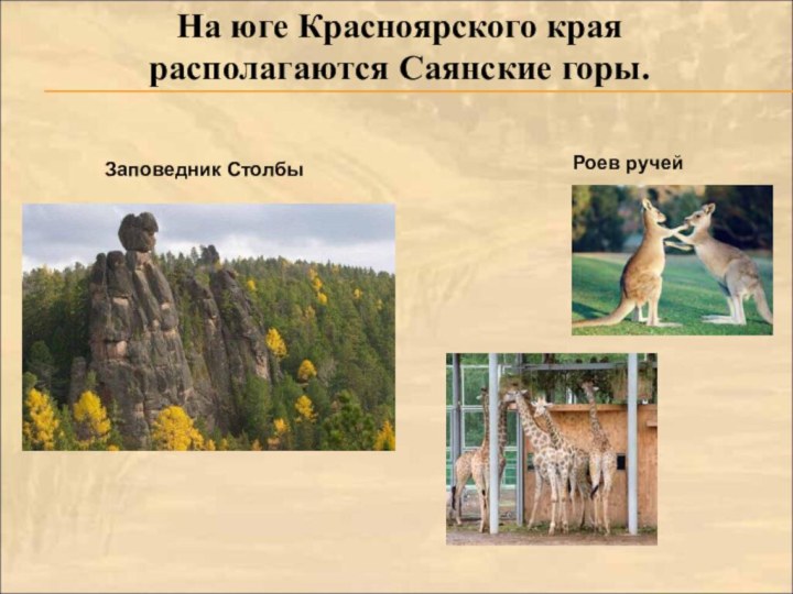 На юге Красноярского края располагаются Саянские горы.Заповедник СтолбыРоев ручей