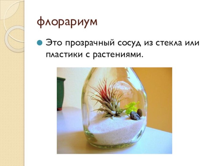 флорариумЭто прозрачный сосуд из стекла или пластики с растениями.