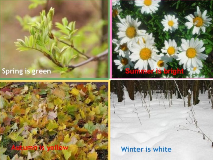 Spring is green Autumn is yellow Summer is bright Winter is white